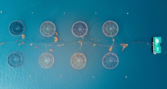 Fish farm near Vancouver Island