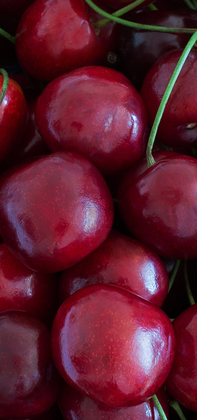 Red cherries