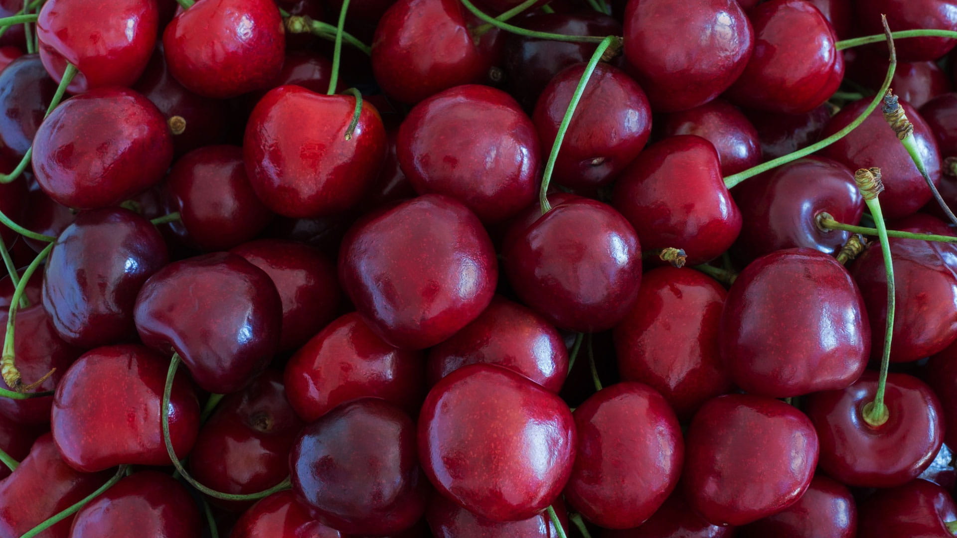 Red cherries