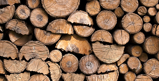 stacked tree trunks