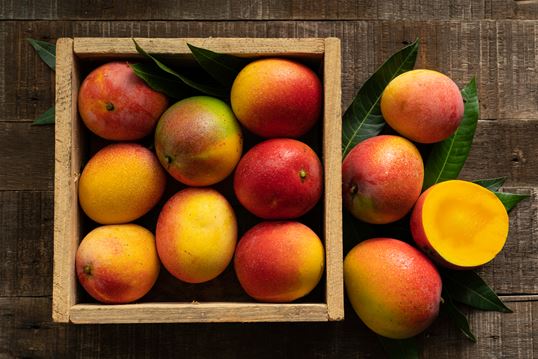 Assortment of ripe mangoes in a wooden crate, showcasing MSC’s cold‑chain logistics for perishable fruit.