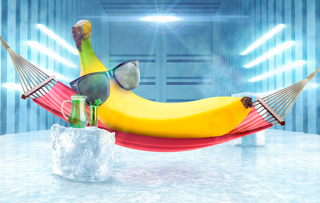 banana, hammock, sunglasses