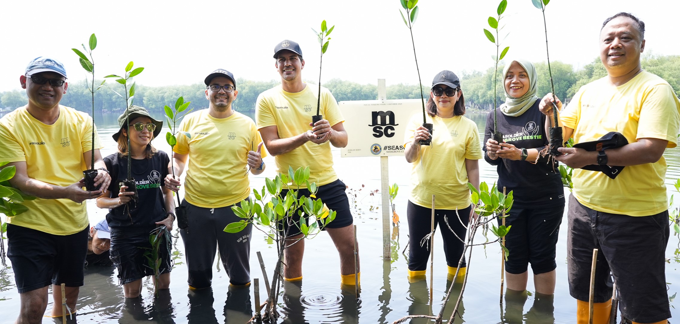 MSC Indonesia employees with SeaSoldier Prajurit Laut Foundation planting mangrove seedlings at Tanjung Pasir beach.