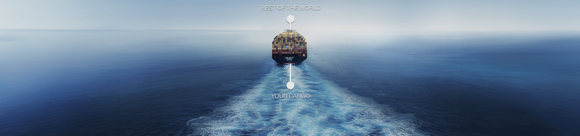 Banner image of an MSC ship connecting customer's cargo with the rest of the world as a result of MSC's new East/West Network offering