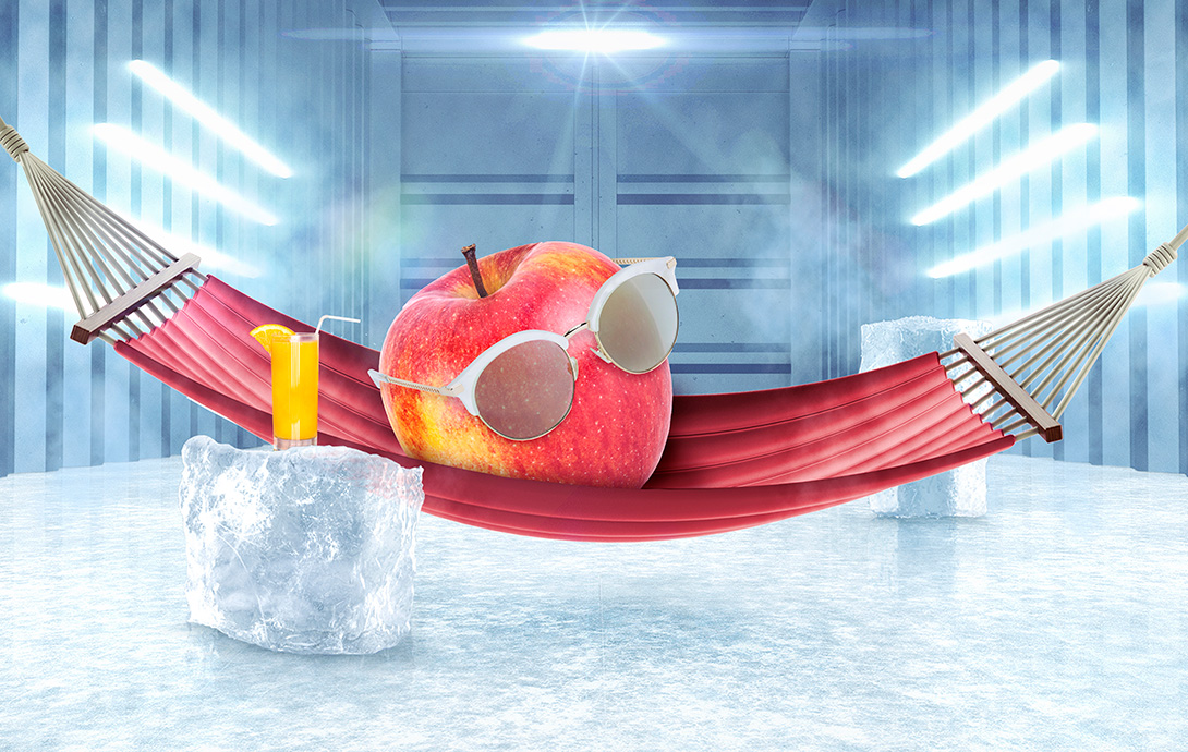apple in a reefer container wearing glasses, laying on a hammock wearing glasses and resting a drink on an ice cube