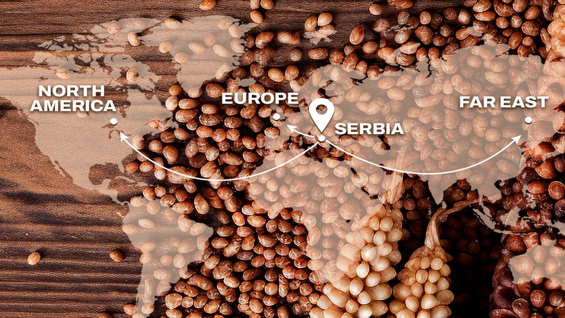 MSC Serbia is proud to be sponsoring this year's Grain Logistica Conference and International Grain Forum 2025 indicating how MSC assists in the grain industry reach the rest of the world.