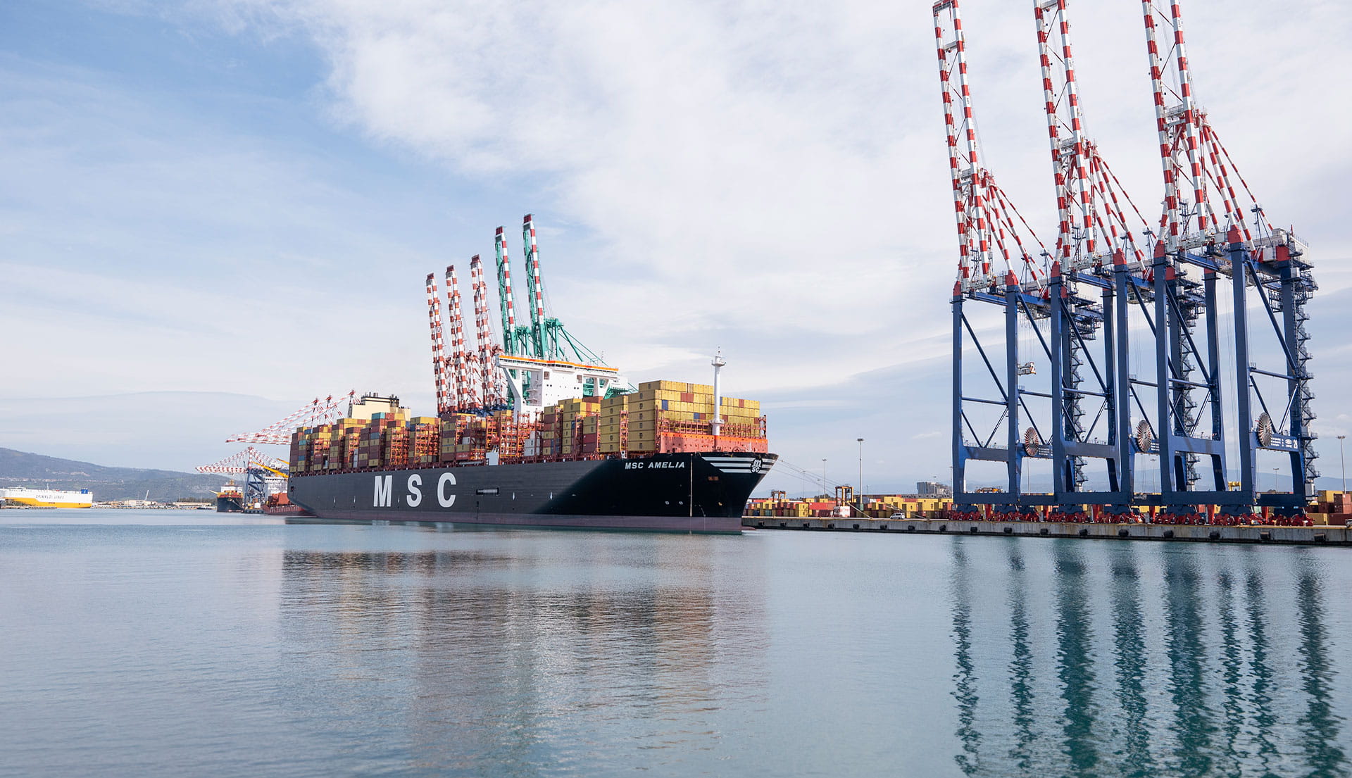 MSC Amelia in Gioia Tauro, Italy