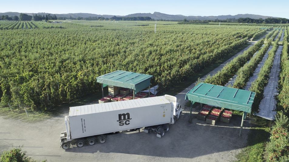 Apples Cargo Shipping Solution MSC