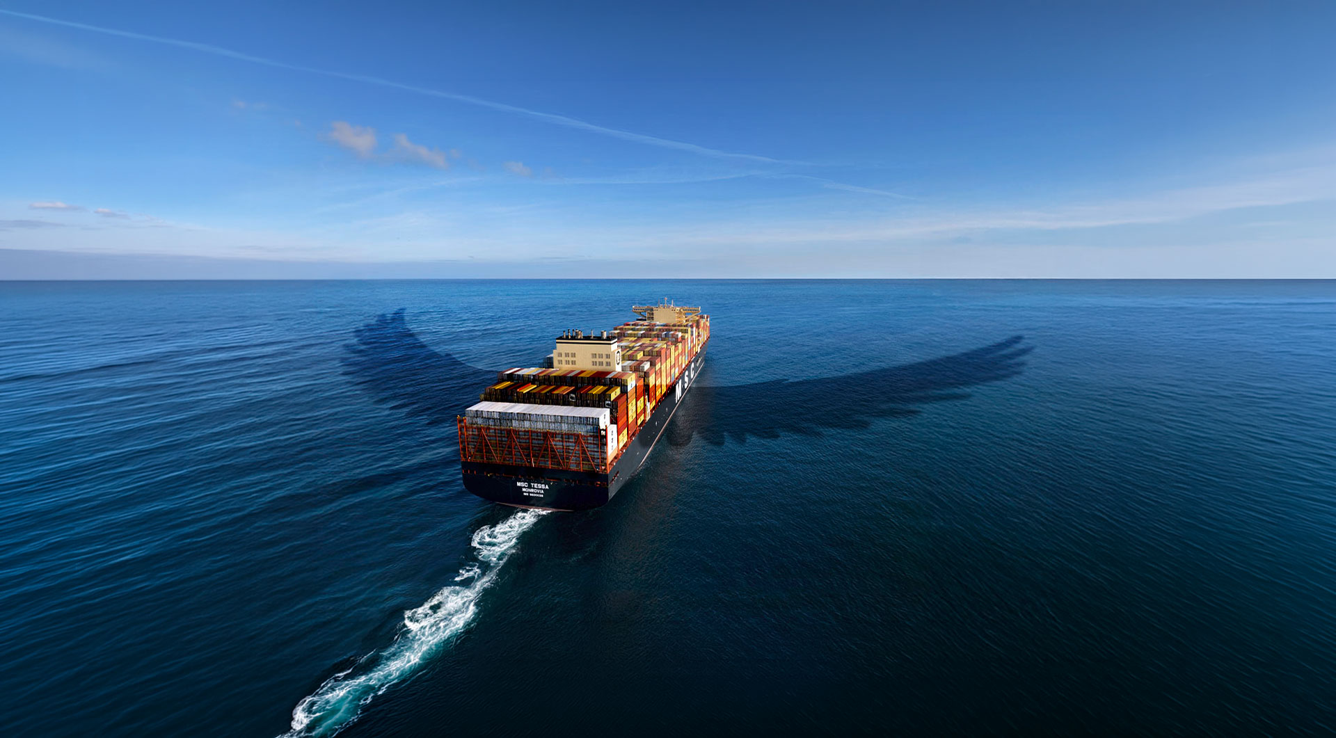 MSC Tessa vessel sailing with eagle wings appearing as shadow on each side