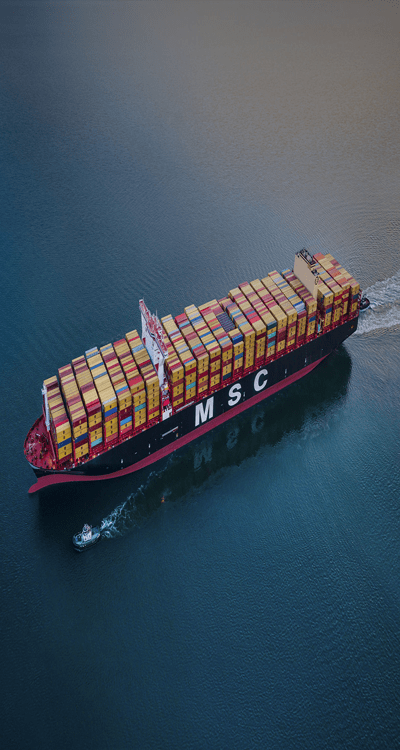 MSC Nela (built 2019), 23 656 TEU at Port of Long Beach CA
